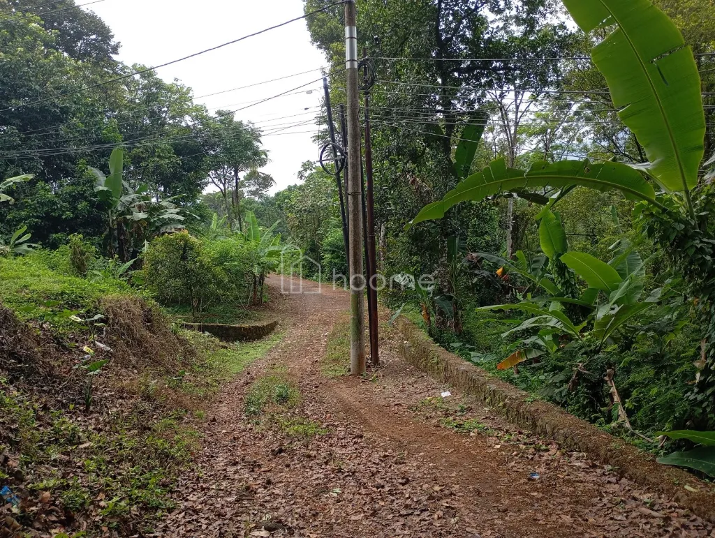 Dijual Tanah Strategis, Pinggir Jalan Provinsi. — foto 3 dari 4