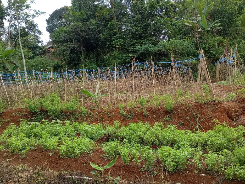 Dijual Tanah Strategis, Pinggir Jalan Provinsi. — foto 4 dari 4