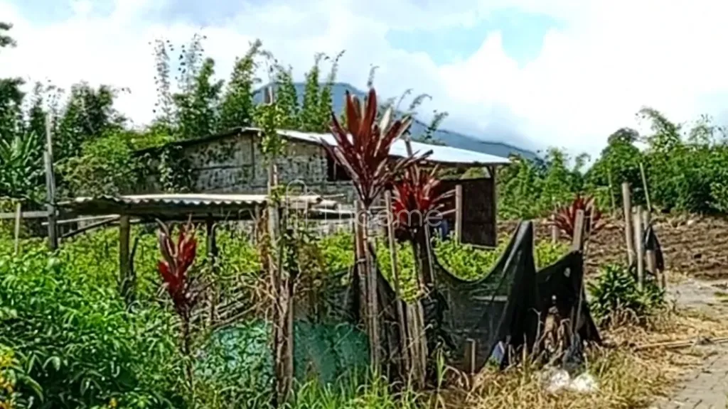 Dijual Tanah SHM 2.520M² DI KEC. DOLAT RAYAT BERASTAGI — foto 4 dari 4