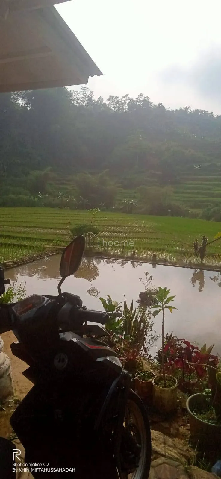 Dijual Tanah Dijual tanah sawah produktif SHM harga NEGO banget — foto 3 dari 4