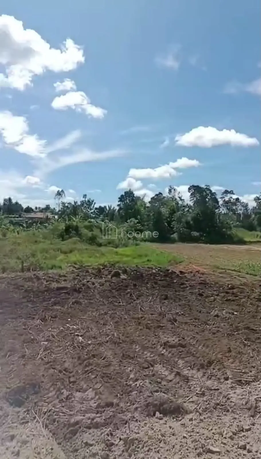 Dijual Tanah DIJUAL SEBIDANG TANAH LUAS JALAN MARTABE — foto 3 dari 4