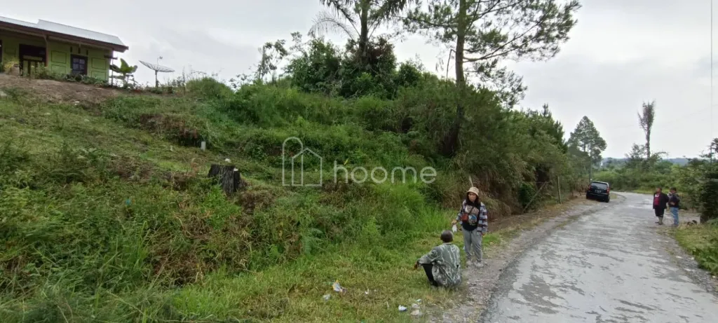 Dijual Tanah DIJUAL TANAH DAERAH ARITONANG SIBORONGBORONG — foto 4 dari 4