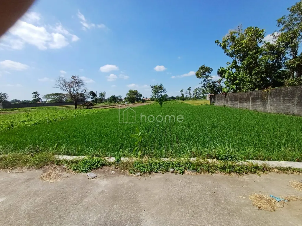Dijual Tanah Cepat tanah sawah SHM Taman Martani Kalasan — foto 4 dari 4