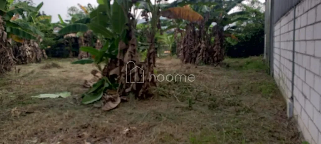 Dijual Gudang DIJUAL GUDANG BUTUH CEPAT — foto 1 dari 4