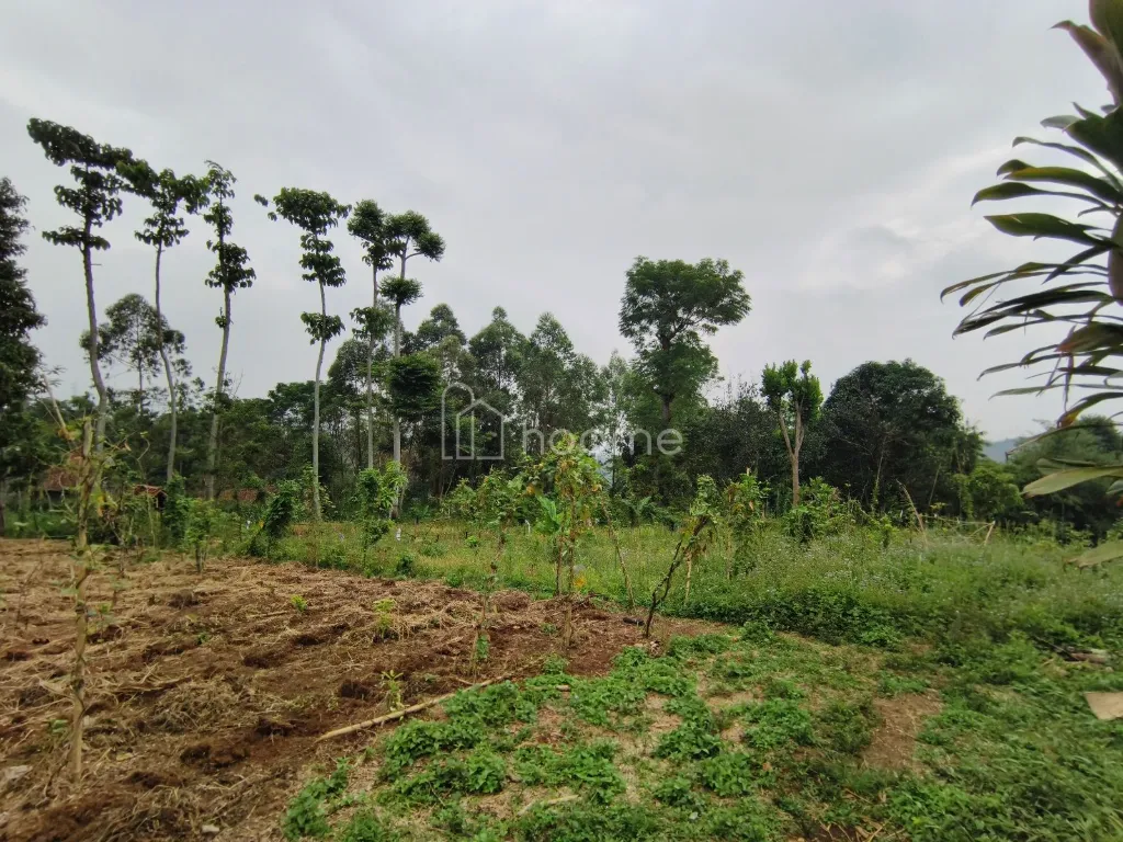 Dijual Tanah Dijual Tanah lokasi Soreang (A1) SHM — foto 1 dari 4