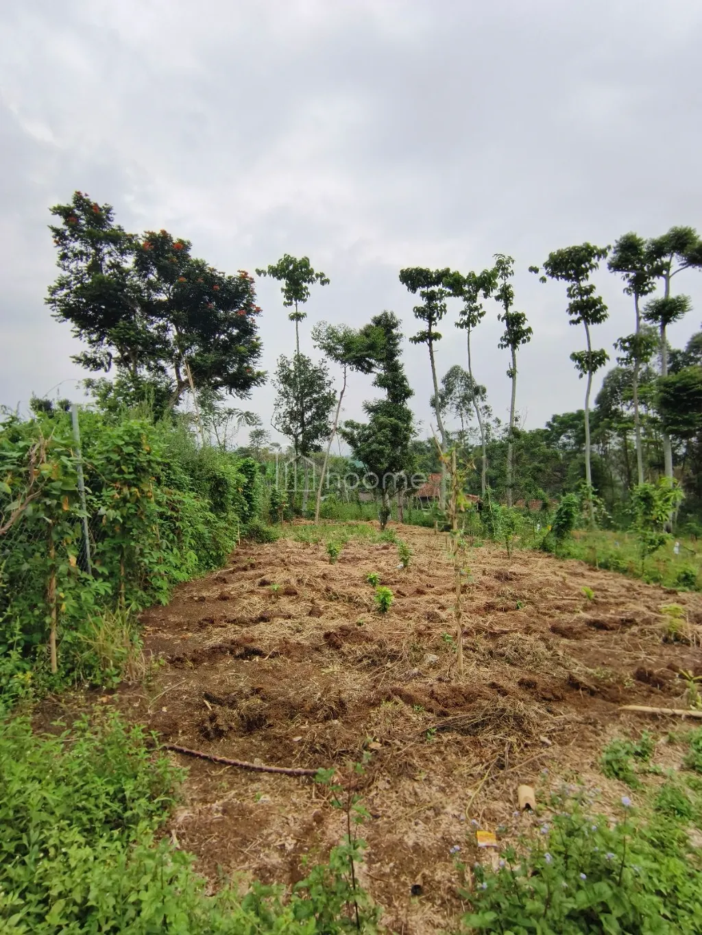 Dijual Tanah Dijual Tanah lokasi Soreang (A1) SHM — foto 3 dari 4
