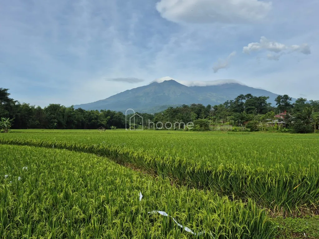 Dijual Tanah Tanah strategis,bisa untuk perumahan dan usaha — foto 3 dari 4