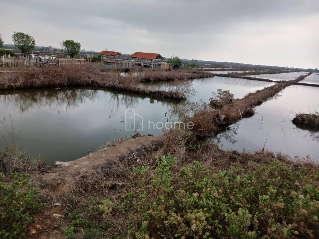 Dijual Tanah Dijual tanah kosong ZONA INDUSTRI — foto 3 dari 4