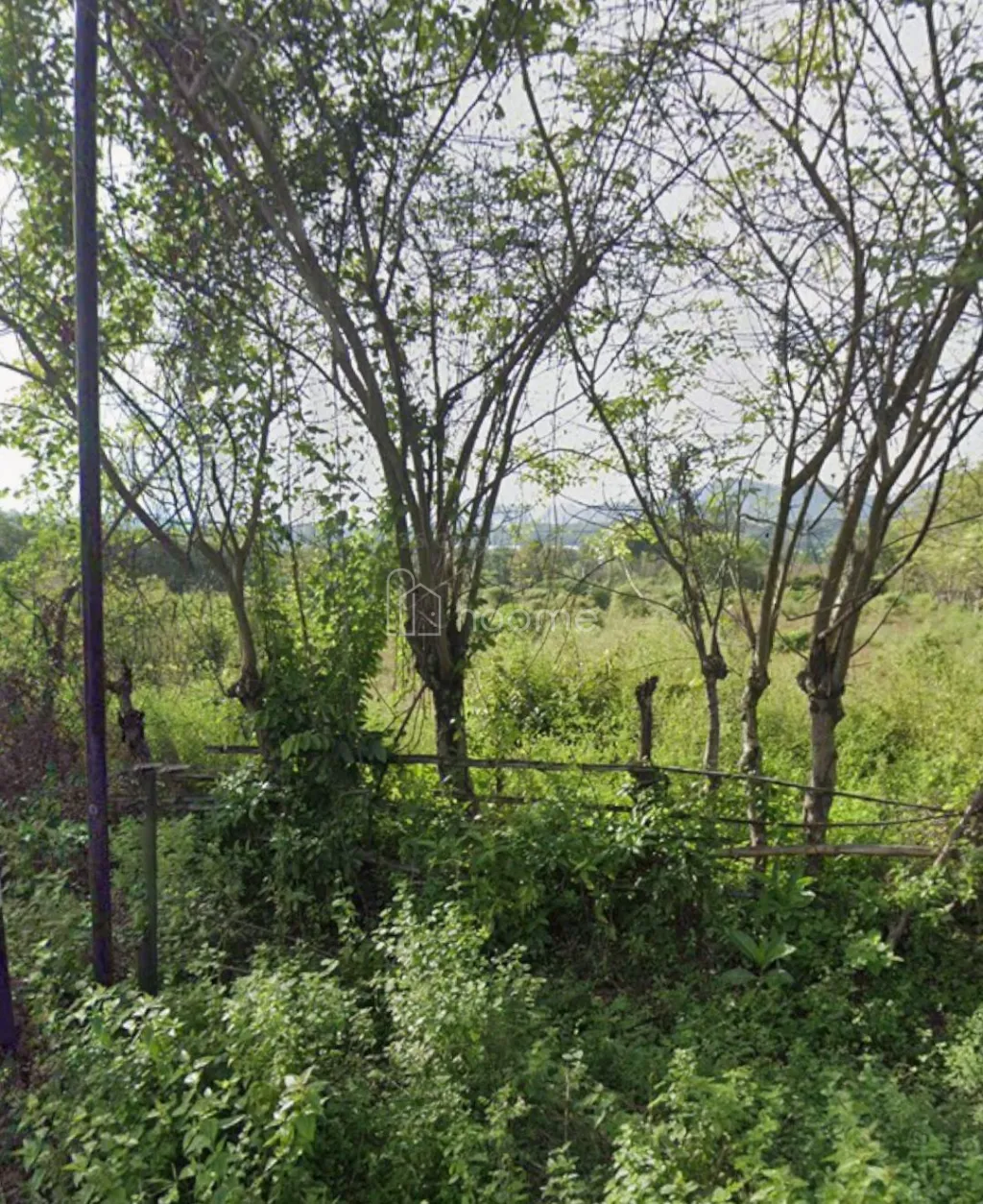 Dijual Tanah dijualtanah — foto 4 dari 4