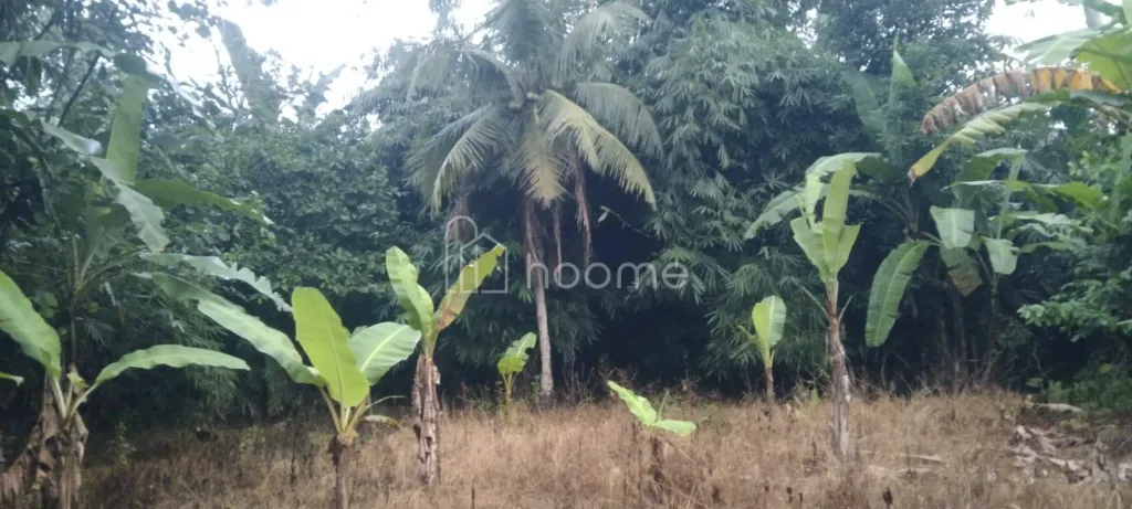 Dijual Tanah Dijual Tanah Strategis 11.298 m² di Natar, Lampung — foto 4 dari 4