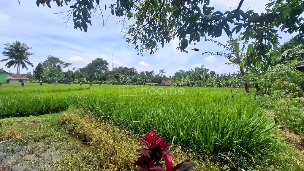 Dijual Villa Di Jual Villa Dekat Wisata SuspensionBridge Cisaat — foto 1 dari 4