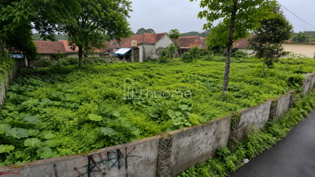 Dijual Tanah  Tanah Terbaik Terakhir di Desa Kasomalang Kulon — foto 1 dari 3