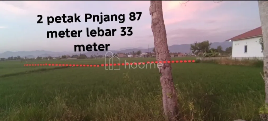 Dijual Tanah jual tanah 2 petak luasan 2873 m2 kel moodu grtlo — foto 3 dari 4