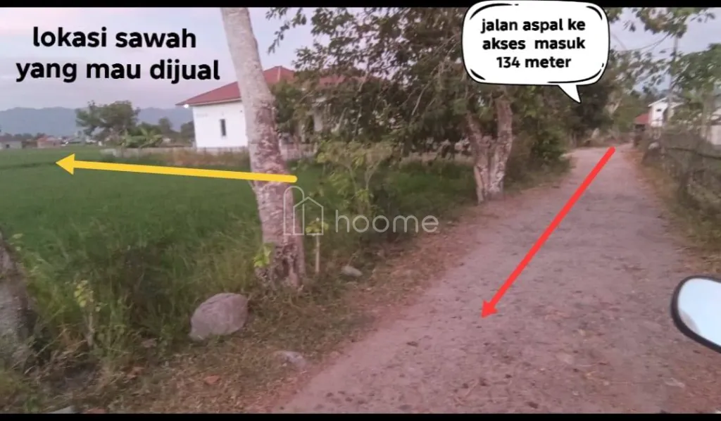 Dijual Tanah jual tanah 2 petak luasan 2873 m2 kel moodu grtlo — foto 4 dari 4