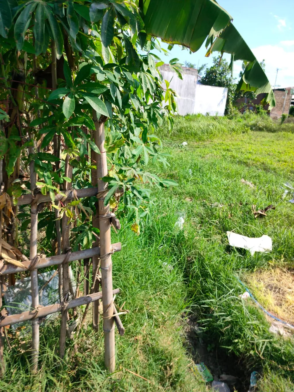 Disewa Rumah Tanah kosong SHM — foto 1 dari 3