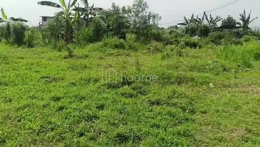 Disewa Rumah Tanah Kosong Siap Pakai -  SHM — foto 3 dari 4