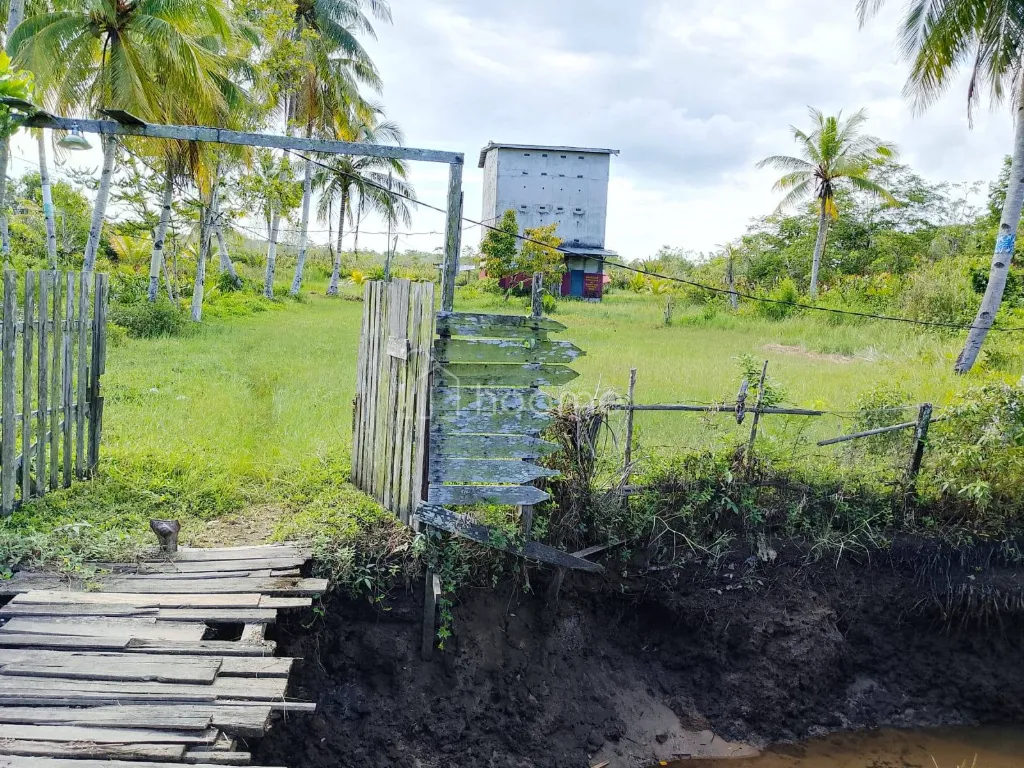 Dijual Tanah Tanah Ketapang Desa Baru Benua Kayung KalBar — foto 3 dari 4