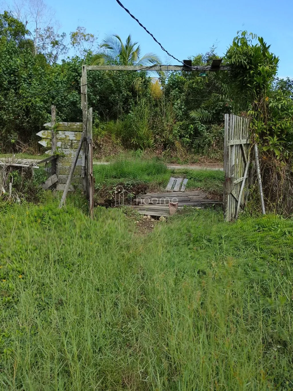 Dijual Tanah Tanah Ketapang Desa Baru Benua Kayung KalBar — foto 4 dari 4