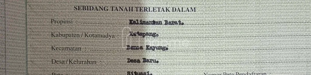 Dijual Tanah Tanah Ketapang Desa Baru Benua Kayung KalBar — foto 1 dari 4