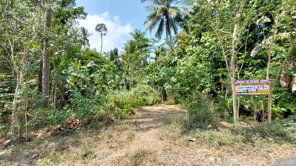 Dijual Tanah Diju4l tanah cepat tanpa perantara4. — foto 1 dari 3