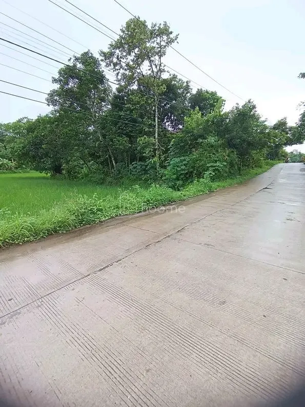 Dijual Tanah Dijual tanah bersertifikat SHM dengan luas 2160m² — foto 3 dari 4