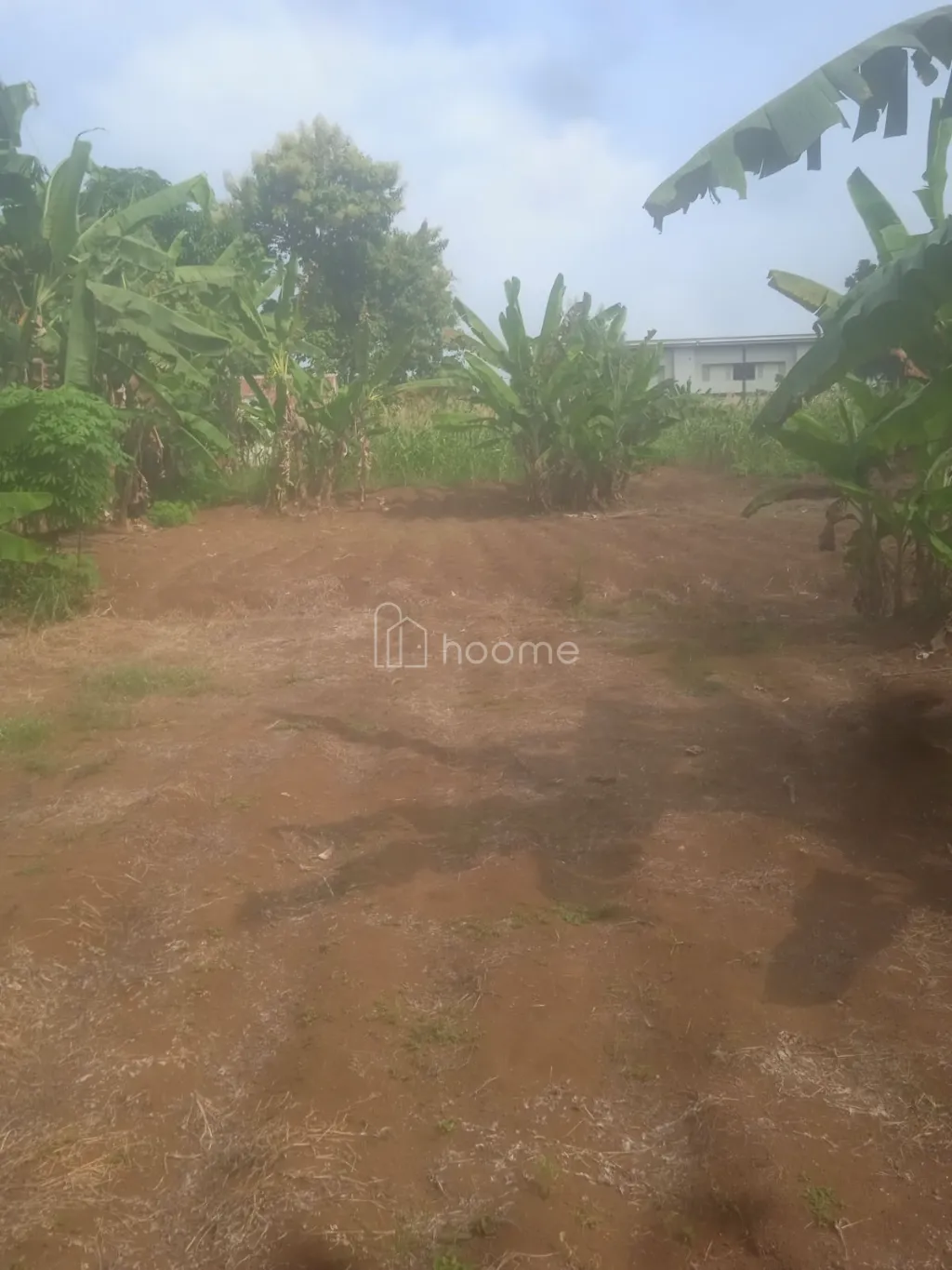 Dijual Tanah Nego 93 Ubin (1300m) Purwokerto Kota — foto 3 dari 4