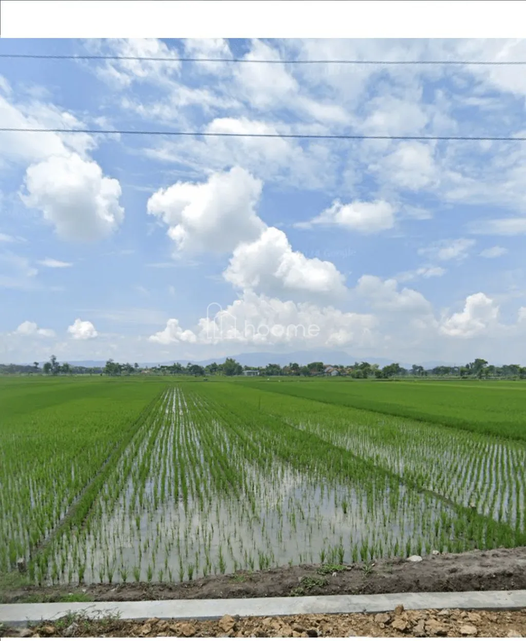 Dijual Tanah Tanah Pekarangan dengan Pemandangan Sawah yg Asri  — foto 3 dari 4