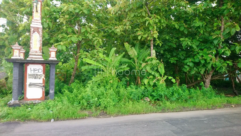 Dijual Tanah Tanah Pekarangan dengan Pemandangan Sawah yg Asri  — foto 2 dari 4