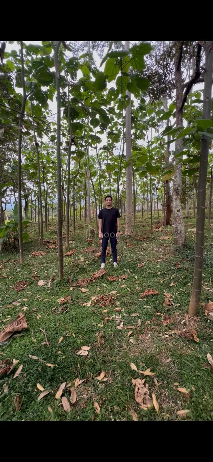 Dijual Tanah SHM di Kawasan Wisata Baturraden, Purwokerto — foto 4 dari 4