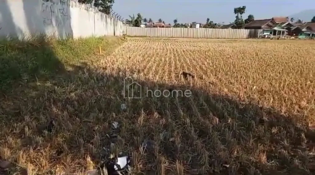 Dijual Tanah DIJUAL LAHAN STRATEGIS CICALENGKA-BENTUK PERSEGI — foto 2 dari 3