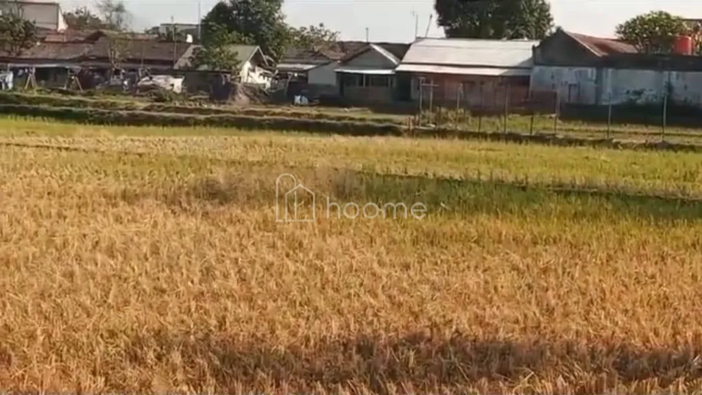 Dijual Tanah DIJUAL LAHAN STRATEGIS CICALENGKA-BENTUK PERSEGI — foto 3 dari 3