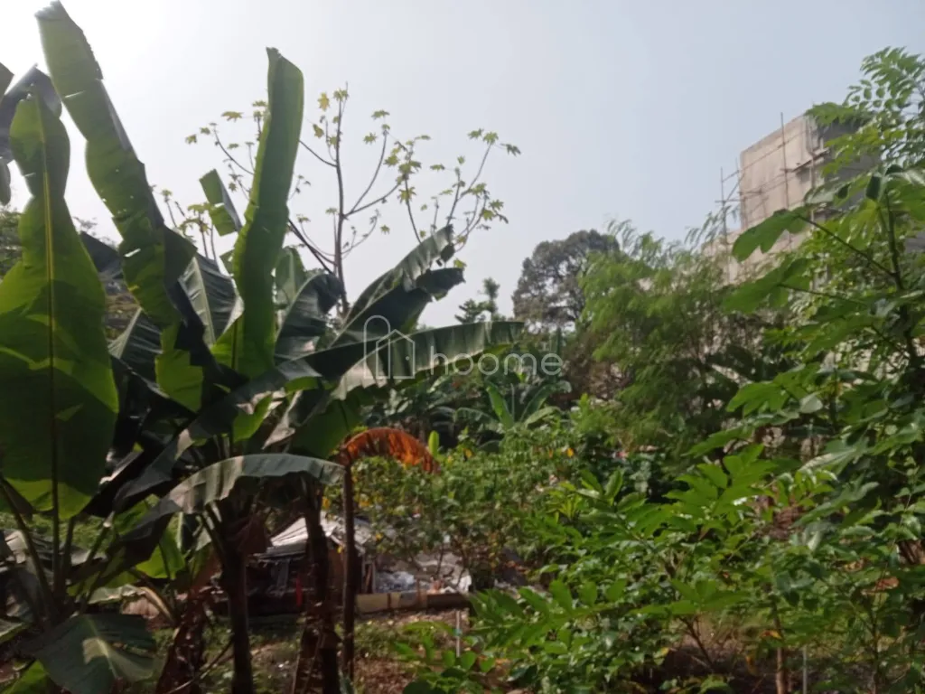 Dijual Tanah Jual Tanah Kosong, SHM, lokasi Strategis Bogor — foto 3 dari 4