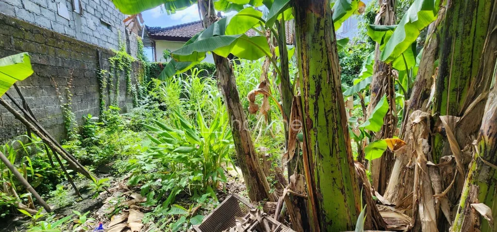 Dijual Tanah  TANAH  LUAS 286 m²  - SIDAKARYA, DENPASAR SELATAN — foto 4 dari 4