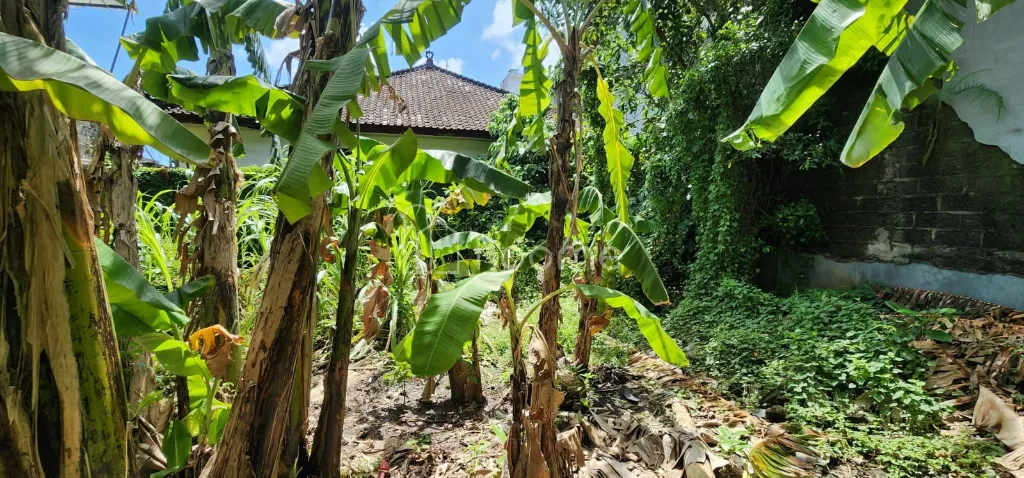 Dijual Tanah  TANAH  LUAS 286 m²  - SIDAKARYA, DENPASAR SELATAN — foto 3 dari 4