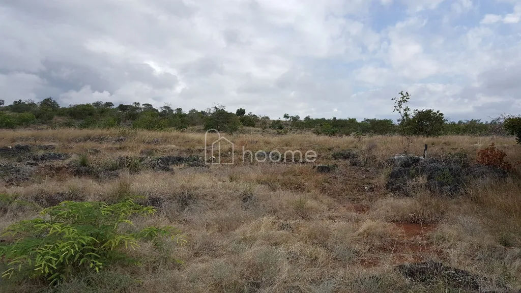 Dijual Tanah TANAH BEACHFRONT 75,5 HA — MAMBORO, SUMBA TENGAH | — foto 3 dari 4