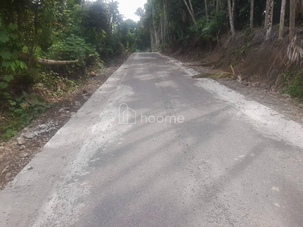Dijual Tanah Dijual Tanah , Lokasi Strategis, di Kutalimbaru — foto 3 dari 4