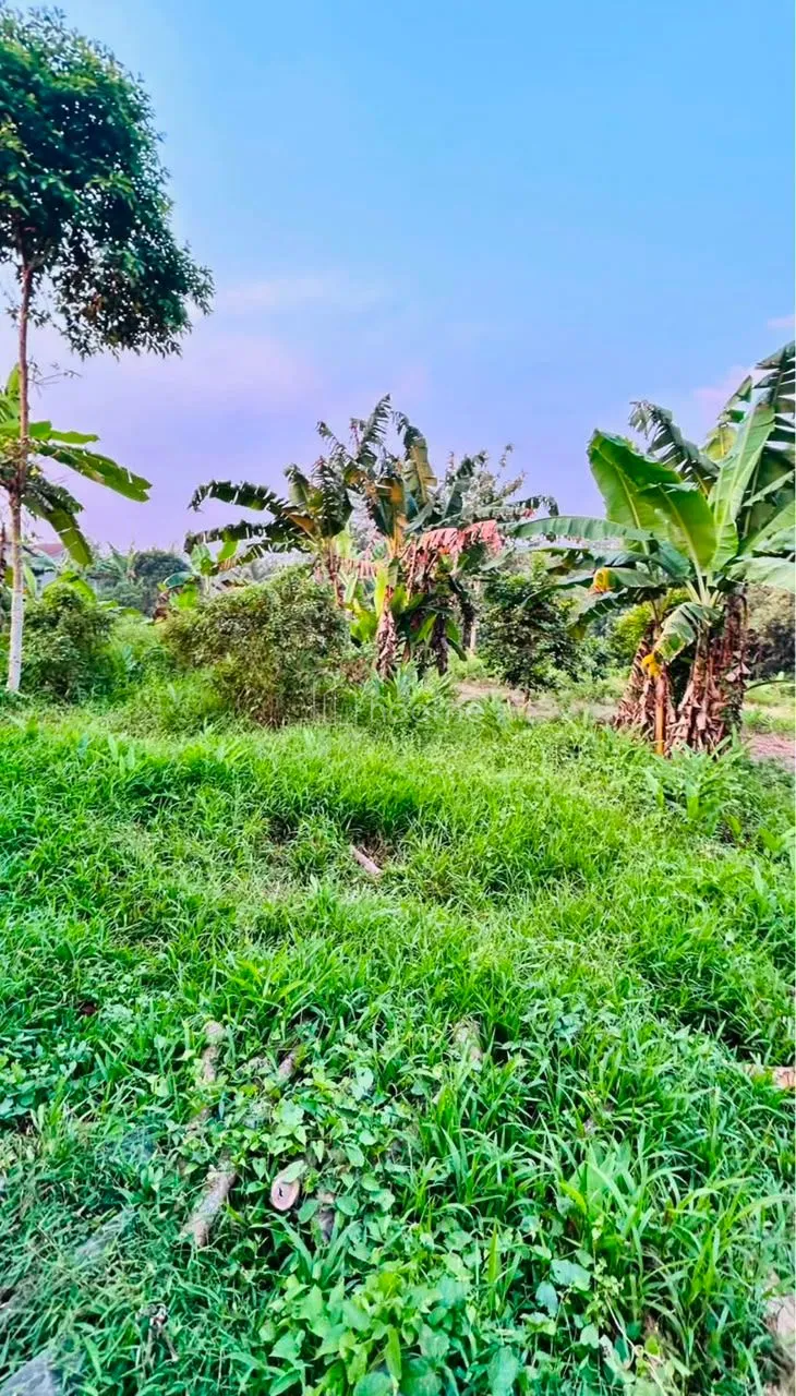 Dijual Tanah Dijual Tanah 300M2 Murah dekat Podomoro Tenjo  — foto 4 dari 4