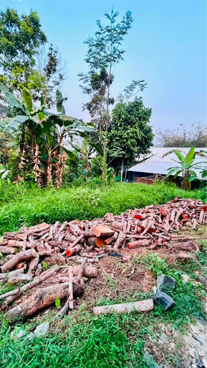 Dijual Tanah Dijual Tanah 300M2 Murah dekat Podomoro Tenjo  — foto 1 dari 4