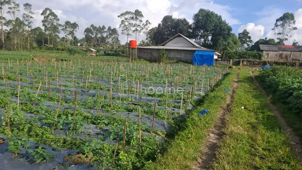 Dijual Gudang Di jual Gudang dan Lahan Pertanian — foto 4 dari 4