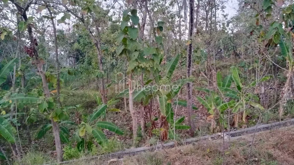 Dijual Tanah Komersial 1413m2 — foto 3 dari 4