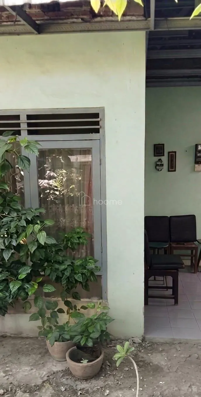 Dijual Rumah Dijual Rumah dan kostan, Asri dan Bebas Banjir — foto 4 dari 4