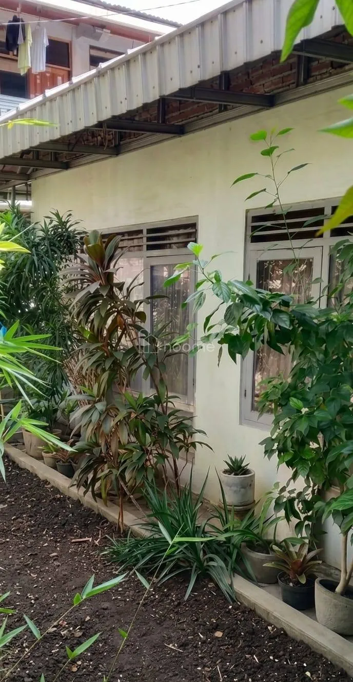 Dijual Rumah Dijual Rumah dan kostan, Asri dan Bebas Banjir — foto 3 dari 4