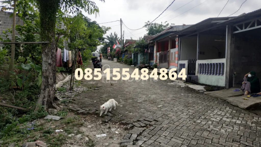 Dijual Tanah Dijual tanah hook cikasungka tigaraksa tangerang — foto 4 dari 4