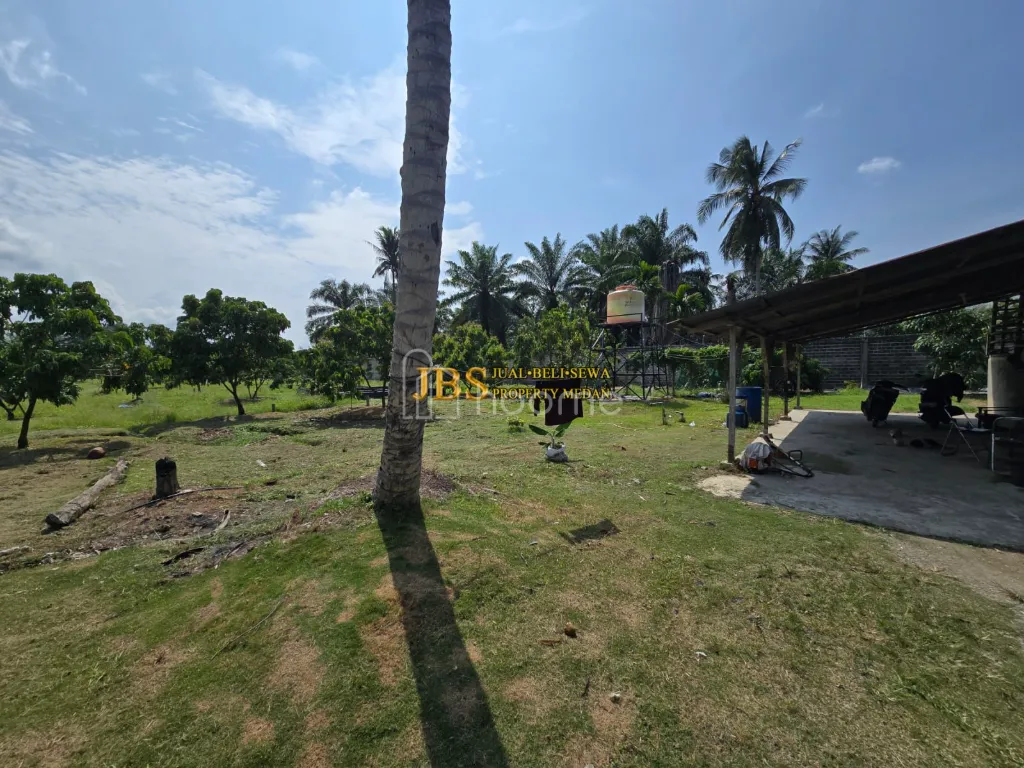 Dijual Tanah Kebun Kelengkeng & Bangunan di Langkat — foto 3 dari 4