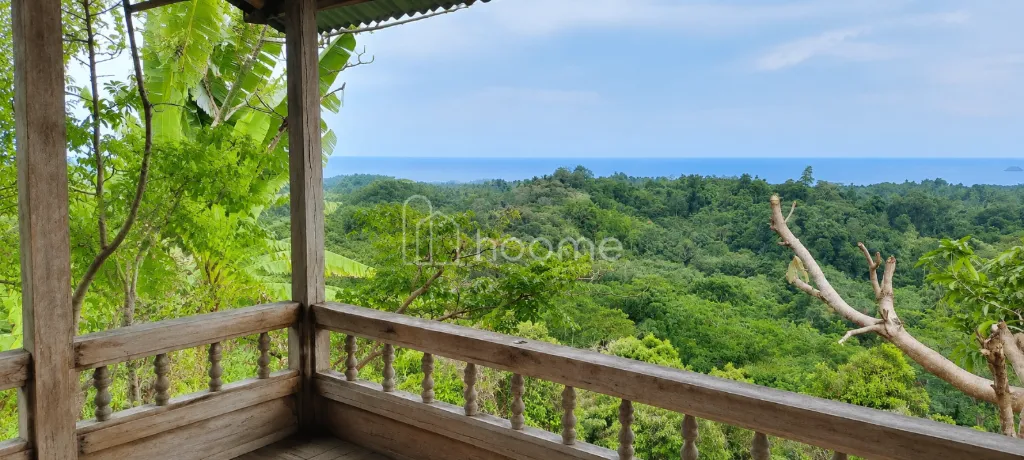 Dijual Tanah Di Tepi Jalan Trans Sulawesi — foto 3 dari 3