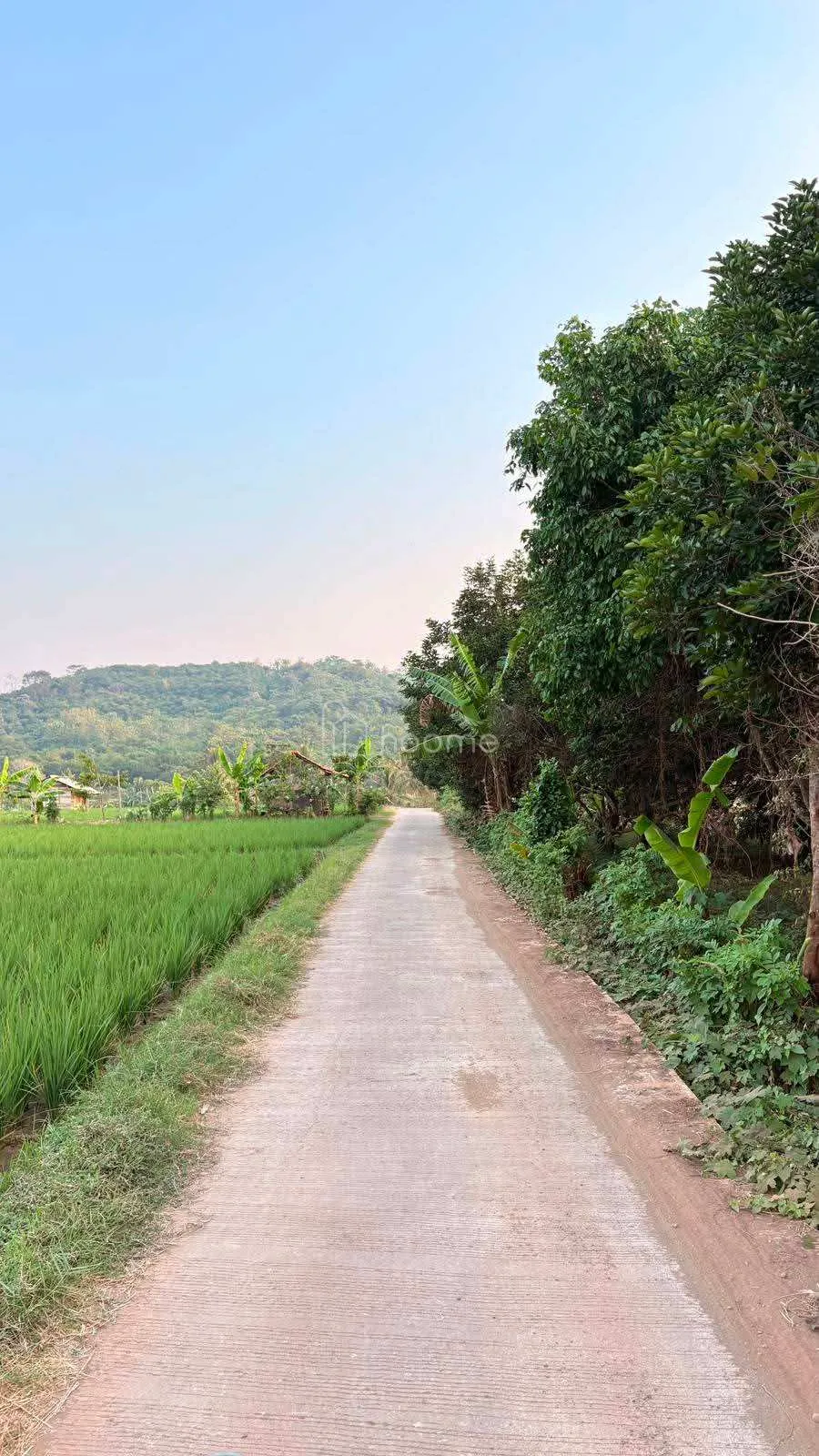Dijual Tanah     - lokasi purwaka — foto 3 dari 4