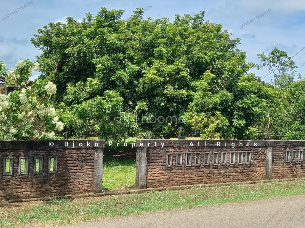 Dijual Rumah Rumah SHM LT 1881m² Strategis Dekat Bandara  — foto 3 dari 4