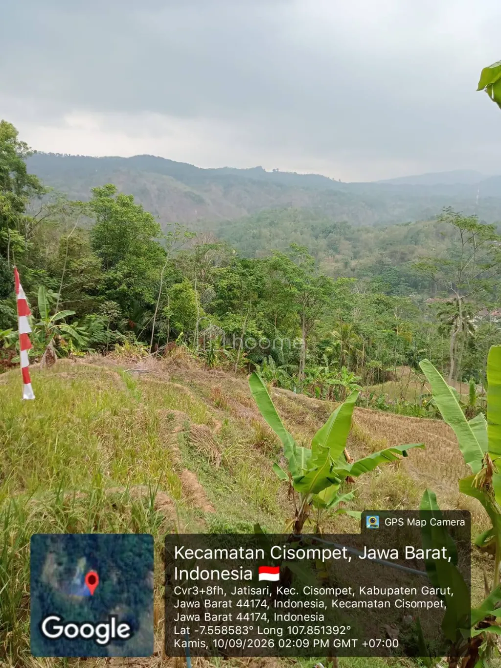 Dijual Tanah LAHAN ±0,97 HA | KEBUN PRODUKTIF | GIRIK — foto 2 dari 6