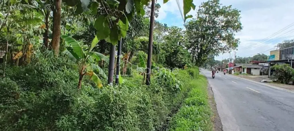 Dijual Tanah Secang, Magelang — foto 3 dari 5