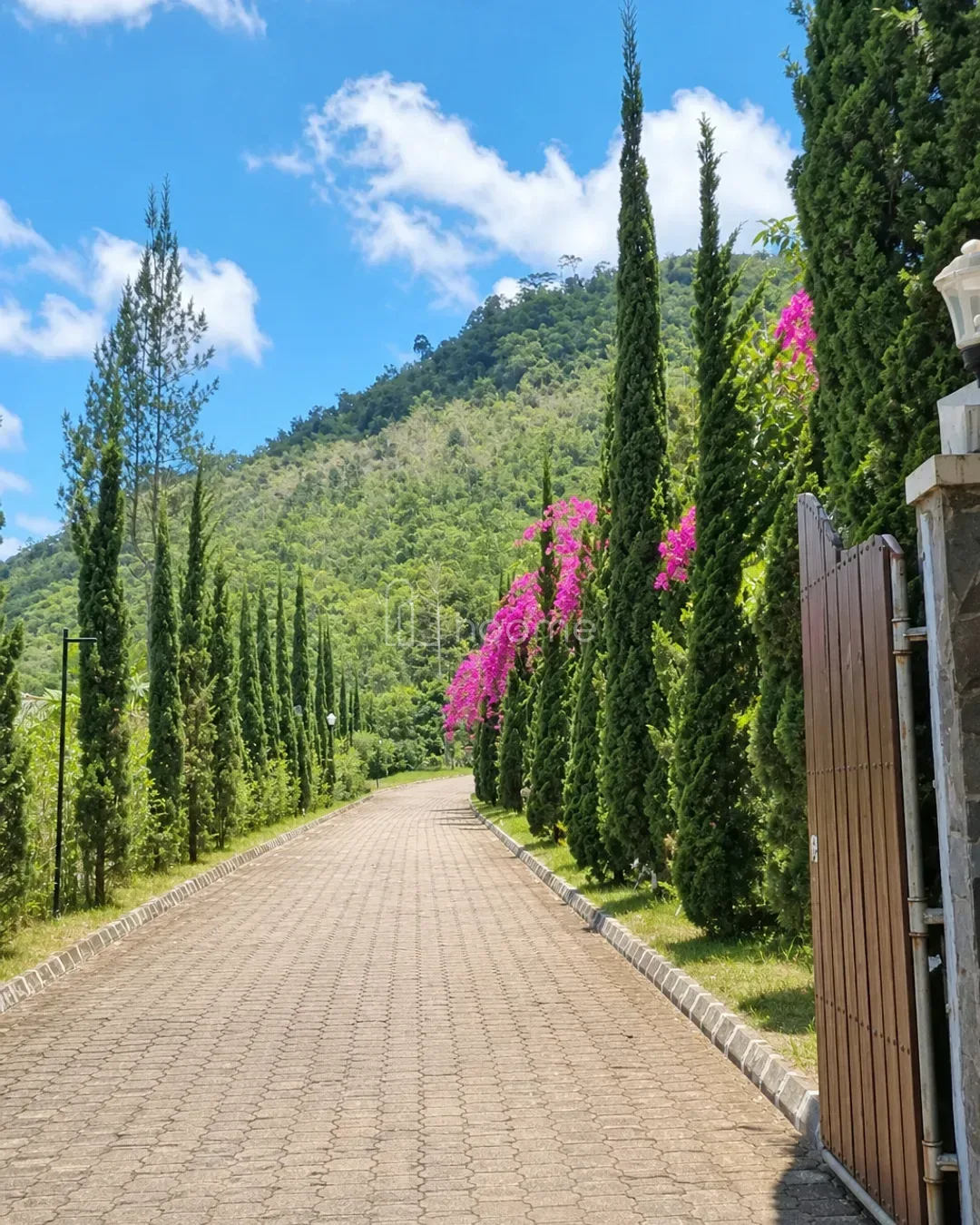 Dijual Villa di Puncak — foto 2 dari 4